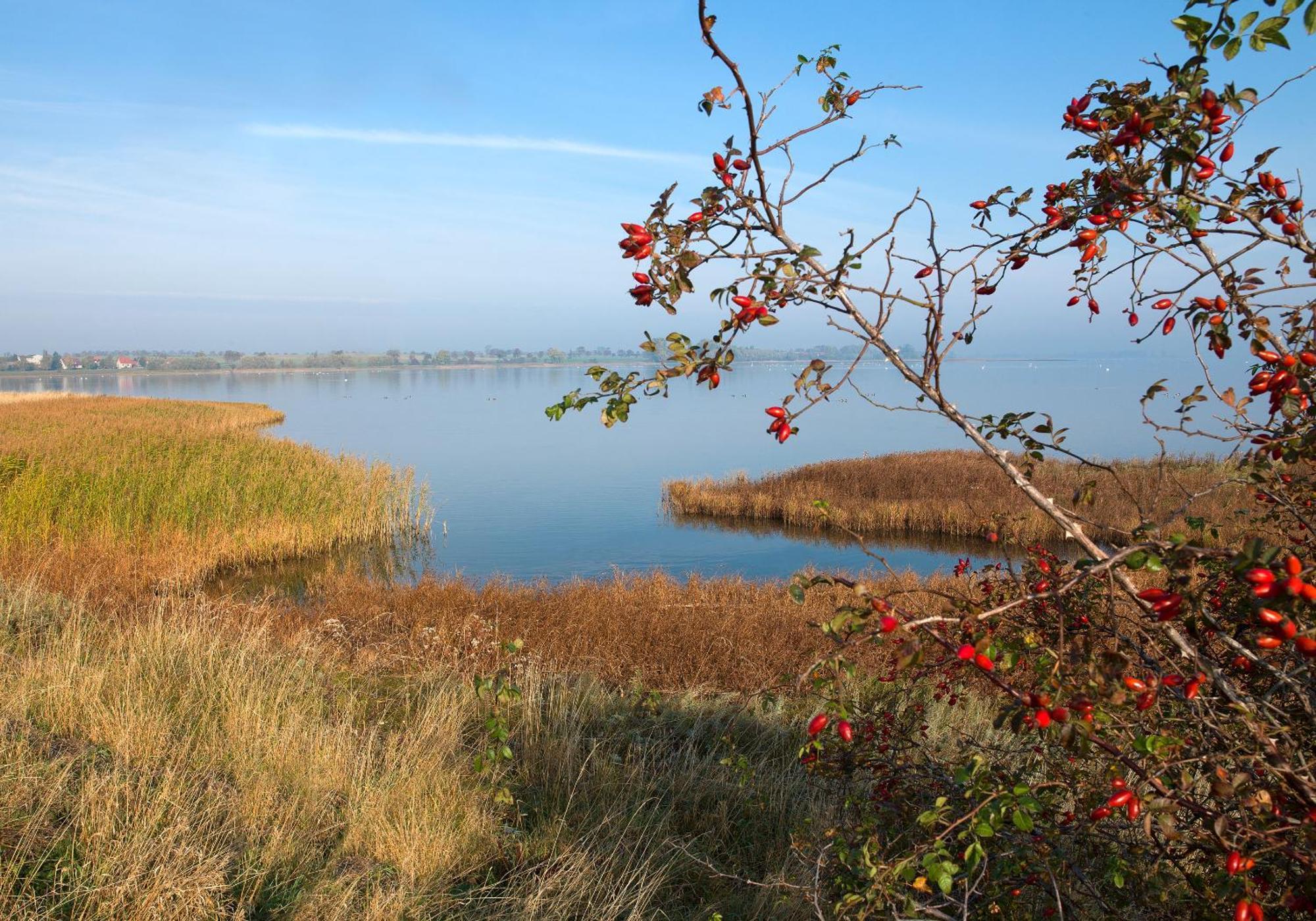 Seerose Insel Poel Dış mekan fotoğraf